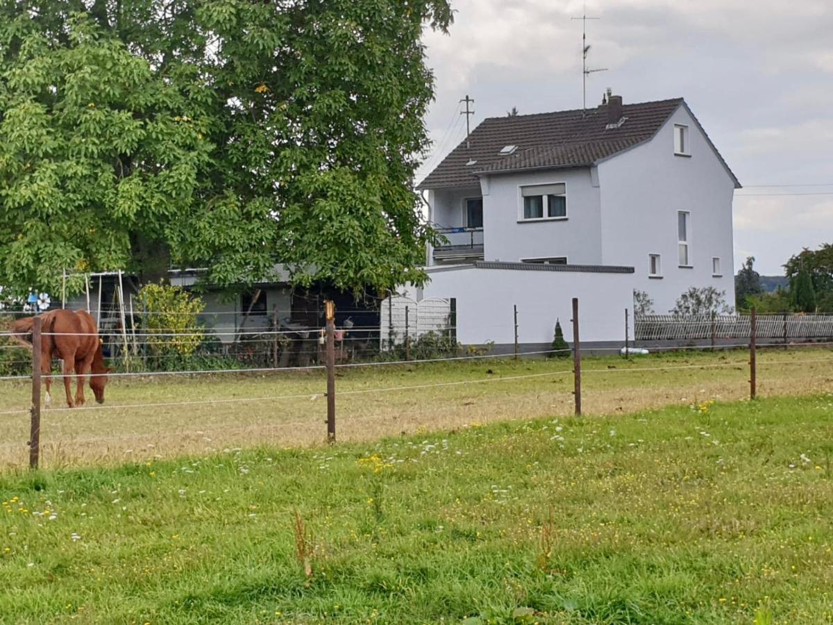 Villa Haus im Grünen Bornheim  Exterior foto