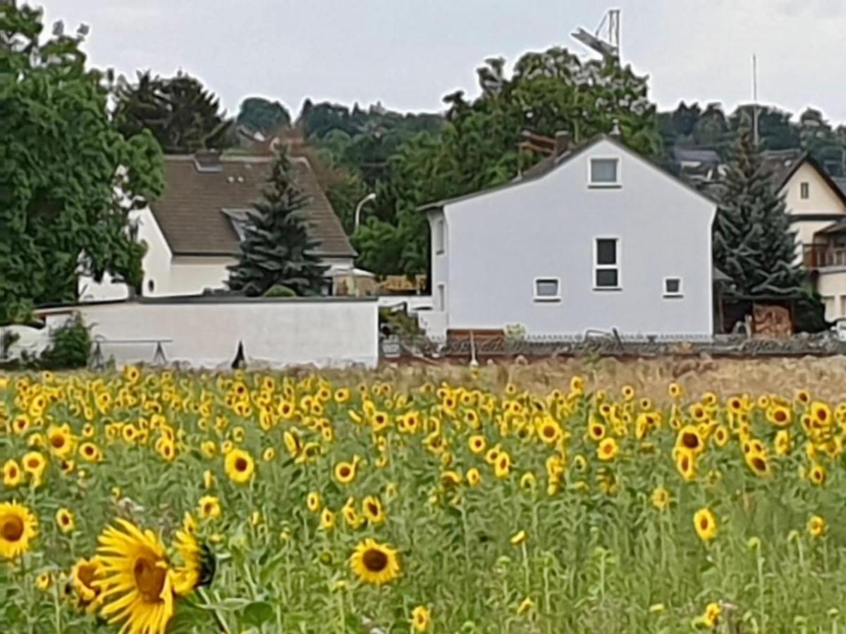 Villa Haus im Grünen Bornheim  Exterior foto